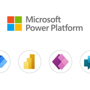 PowerPlatform Custom Solution Development